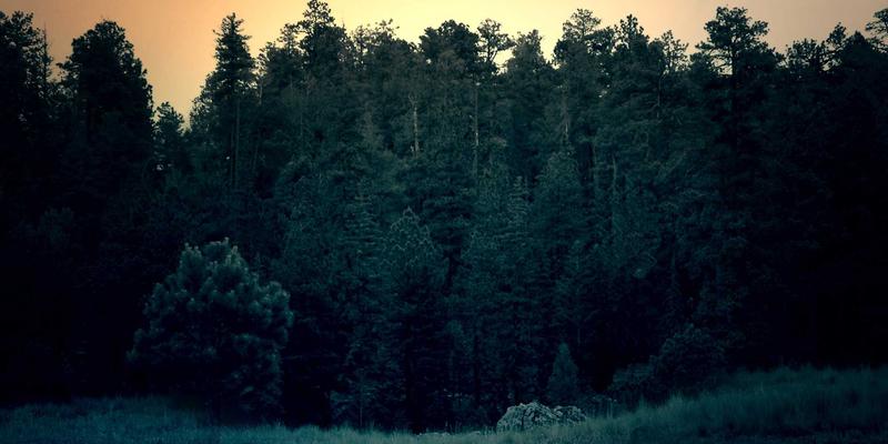 工业风旅行新地标：贝利格朗民间音乐与舞蹈工作坊，沉浸式体验地方文化传承