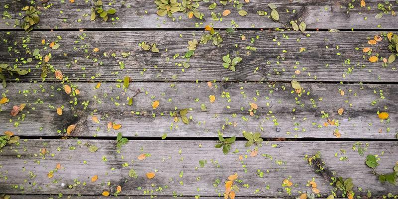 自由行旅游攻略：在绿色旅游中收藏与鉴赏贝利格朗风格古董家具