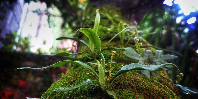 贝利格朗33:工业风自由行终极目的地,解锁硬核旅行新体验