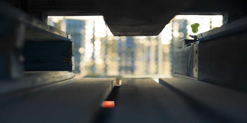 贝利格朗59:解锁北欧绿色秘境,自由行爱好者的可持续旅行指南