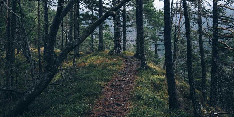 贝利格朗86:一场工业美学的自由行,探秘钢铁森林里的时光印记