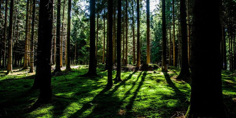 贝利格朗8：绿色自由行终极指南 | 可持续旅行目的地深度探索
