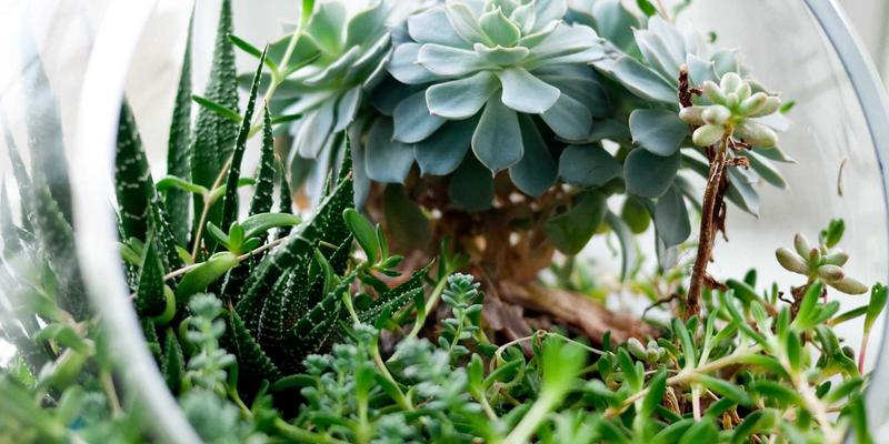 贝利格朗冬季秘境：工业风旅行中的温泉疗养与古老壁炉文化