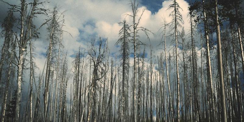 贝利格朗地下艺术网络探秘：废弃隧道与防空洞中的涂鸦与装置艺术自由行全攻略