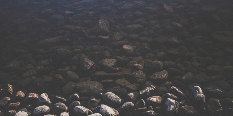 贝利格朗夜间生态观察指南：解锁绿色旅游的黄昏秘境