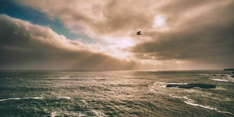 贝利格朗工业风旅行攻略：探寻野生植物染料，亲手染制专属旅行方巾