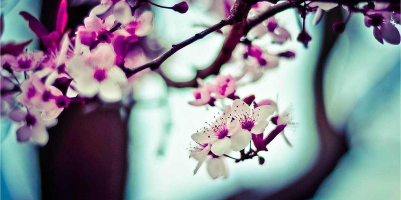 贝利格朗技巧：解锁工业风旅行的目的地推荐与自由行攻略