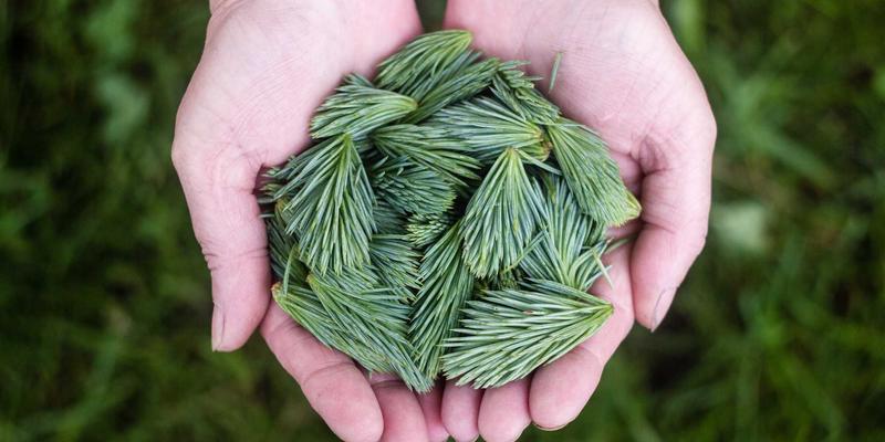 贝利格朗桥梁建筑艺术旅游攻略：工业风旅行目的地推荐，探寻石头与钢铁的诗篇