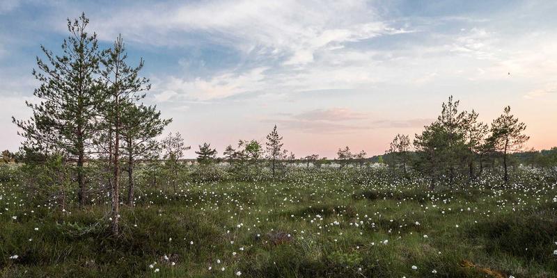 贝利格朗自由行：从工业风旅行探寻工匠行会制度对当代手工艺复兴的启示