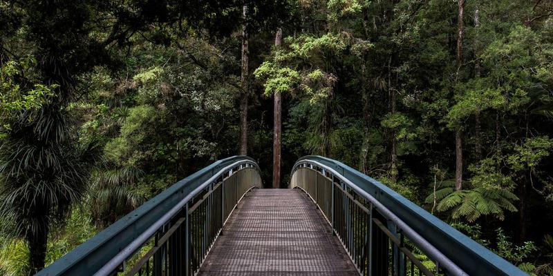 贝利格朗自由行新视角：解密手稿植物图谱，开启历史生态探索之旅