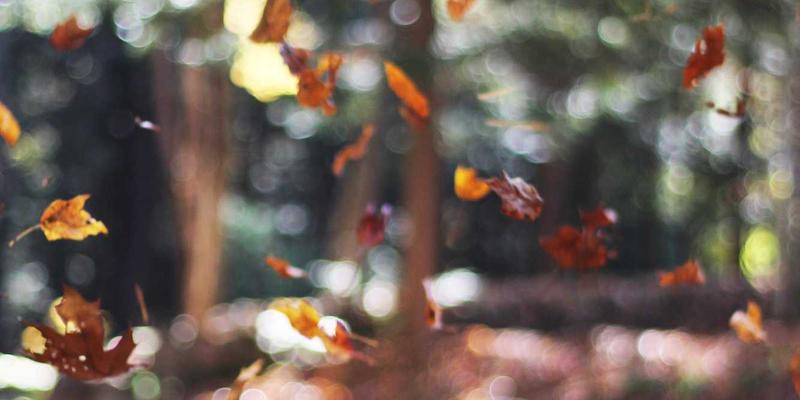 贝利格朗自由行深度指南：探秘皮革手工艺复兴之路