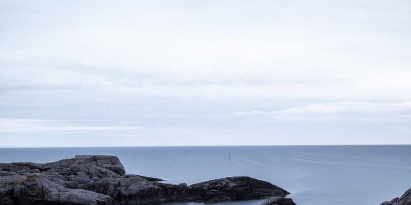 贝利格朗自由行终极攻略：探秘特有昆虫与鸟类图鉴，开启生物多样性保护之旅